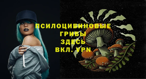 бошки Корсаков