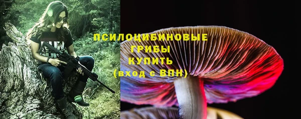 гидропоника Коряжма