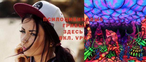 бошки Корсаков