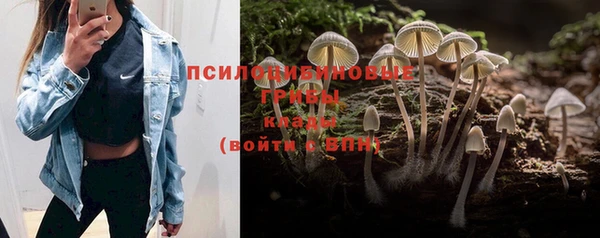 бошки Корсаков